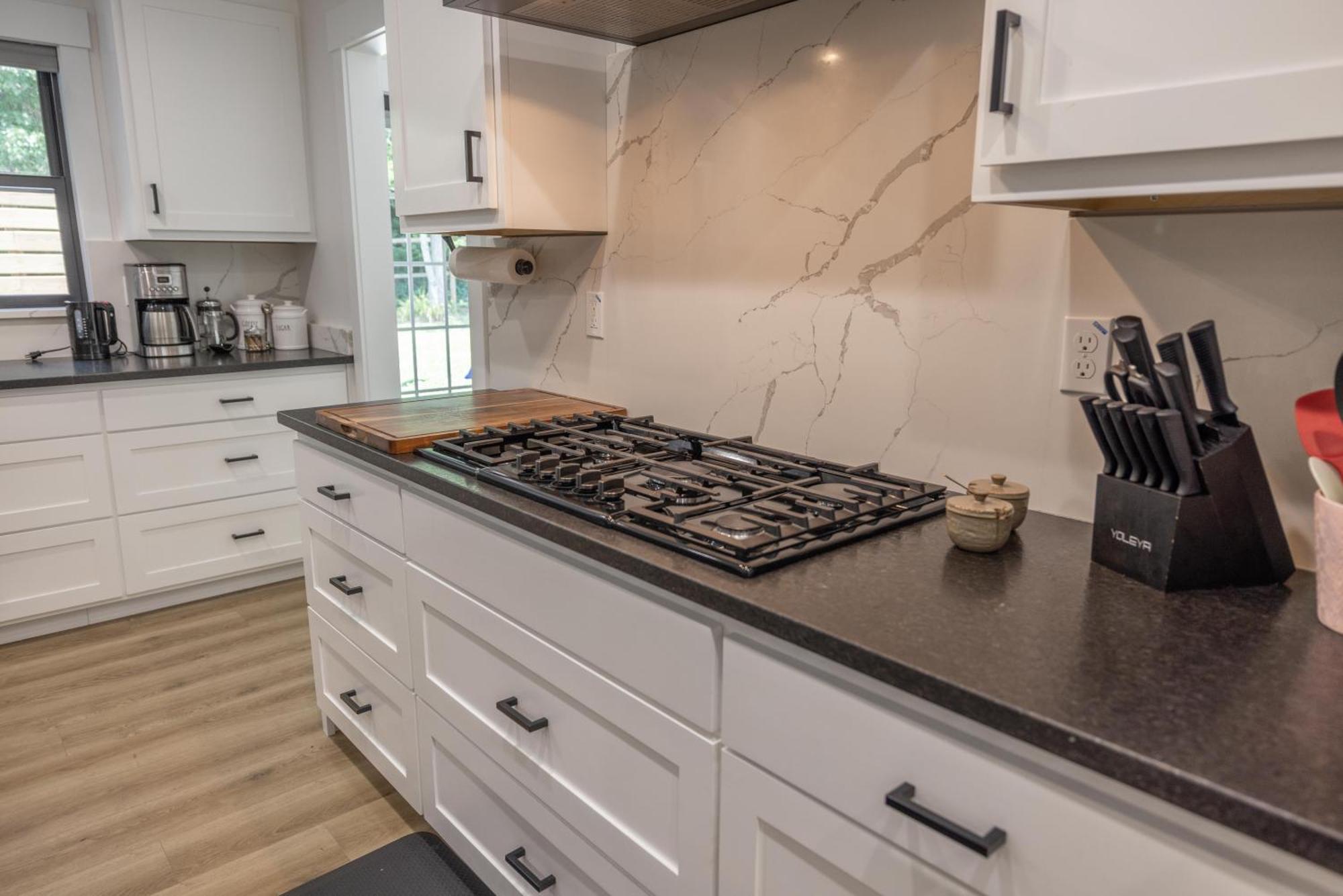 阿什维尔Mid-Century Modern Impeccable Remodel With Hot Tub别墅 外观 照片